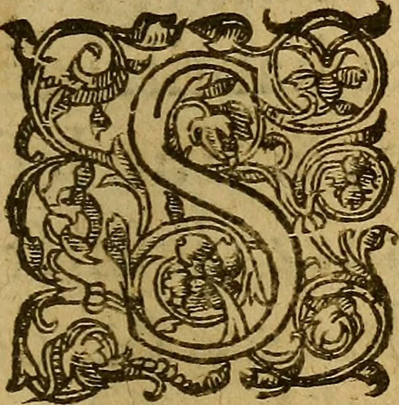 An illustration from Ordonnance du Roy pour le reglement et reformation de la dissolution & superfluité qui est és habillemens & ornemens d'iceux: & de la punition de ceux qui contreuiendront à la dite ordonnance : Avec Arrest de la Court de Parlement, du vingt uniesme d'Auril, 1583. Ensemble l'ordonnance de la Police generale, 1583, leaf 20