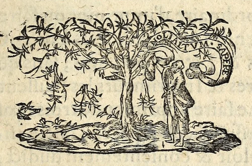 An illustration from Ordonnance du Roy svr l'abbreviation des proces, et consignation de certaine somme de deniers par ceux qui plaideront. Publié en la Cour de Parlement a Paris, le treizieme iour de mois de Decebre 1563. [device]., 1563, leaf 5