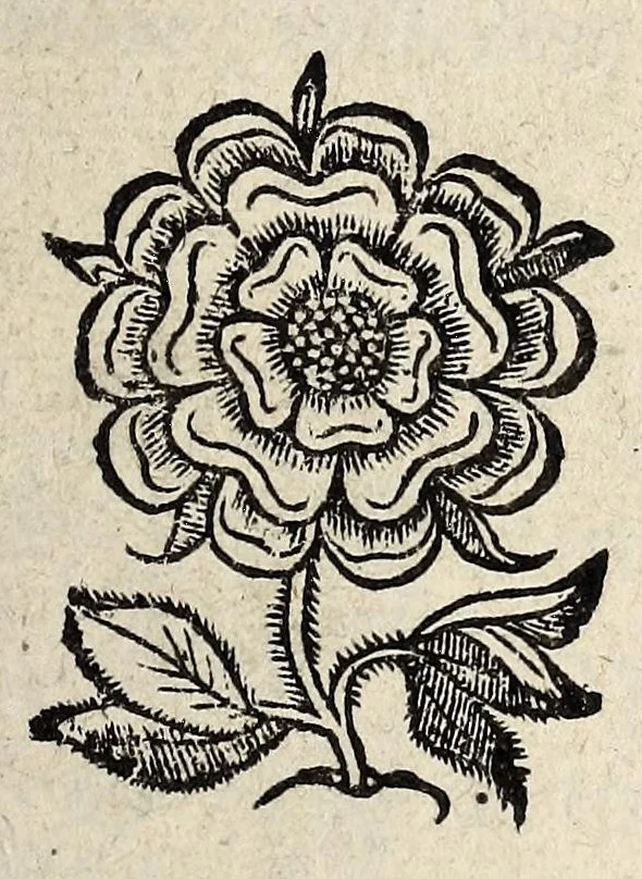 An illustration from Ordonnance generalle faicte par le Roy, pour la police & reglement de la suitte de sa Court, publiée à Villiers-Costerez à son de trompe & cry public, le trentiesme & penultiesme iour de Decembre, mille cinq cens soixante & dix., 1571, leaf 1