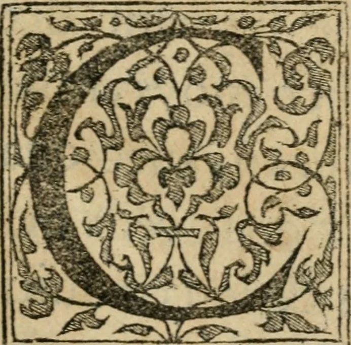 An illustration from Ordre de la réception & entrée, de Henry de Valois, treschrestien roy de France & de Pologne, en la riche & florissante ville de Venise, par l'illustriss. duc, & seigneurie d'icelle: avec les noms des princes accompagnans sa Maiesté, & autres particularitez, 1574, leaf 10