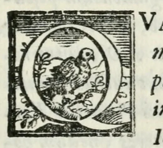 An illustration from Ioannis Iacobi Orgeatii i. c. Galli, in obitv Ioan. Francisci Terzanii Cremonae Ferrariensis oratio, 1593, leaf 7