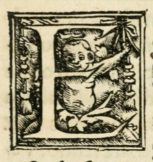 An illustration from Ori Apollinis niliaci Hieroglyphica, 1518, leaf 11