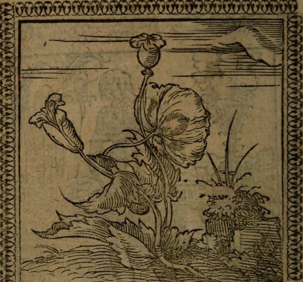 An illustration from Ori Apollinis Niliaci, De sacris Aegyptiorum notis, Aegyptiacè expressis : libri duo, iconibus illustrati, & aucti : nunc primùm in latinum ac gallicum sermonem conversi, 1574, leaf 109