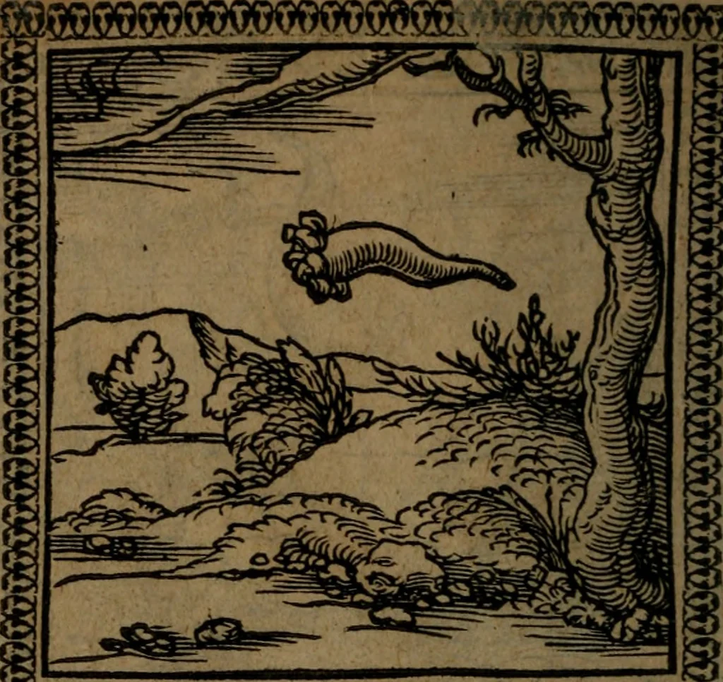 An illustration from Ori Apollinis Niliaci, De sacris Aegyptiorum notis, Aegyptiacè expressis : libri duo, iconibus illustrati, & aucti : nunc primùm in latinum ac gallicum sermonem conversi, 1574, leaf 119