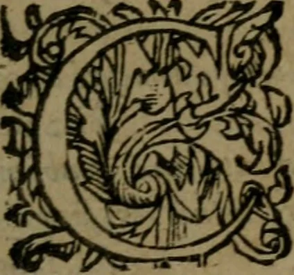 An illustration from Ori Apollinis Niliaci, De sacris Aegyptiorum notis, Aegyptiacè expressis : libri duo, iconibus illustrati, & aucti : nunc primùm in latinum ac gallicum sermonem conversi, 1574, leaf 12