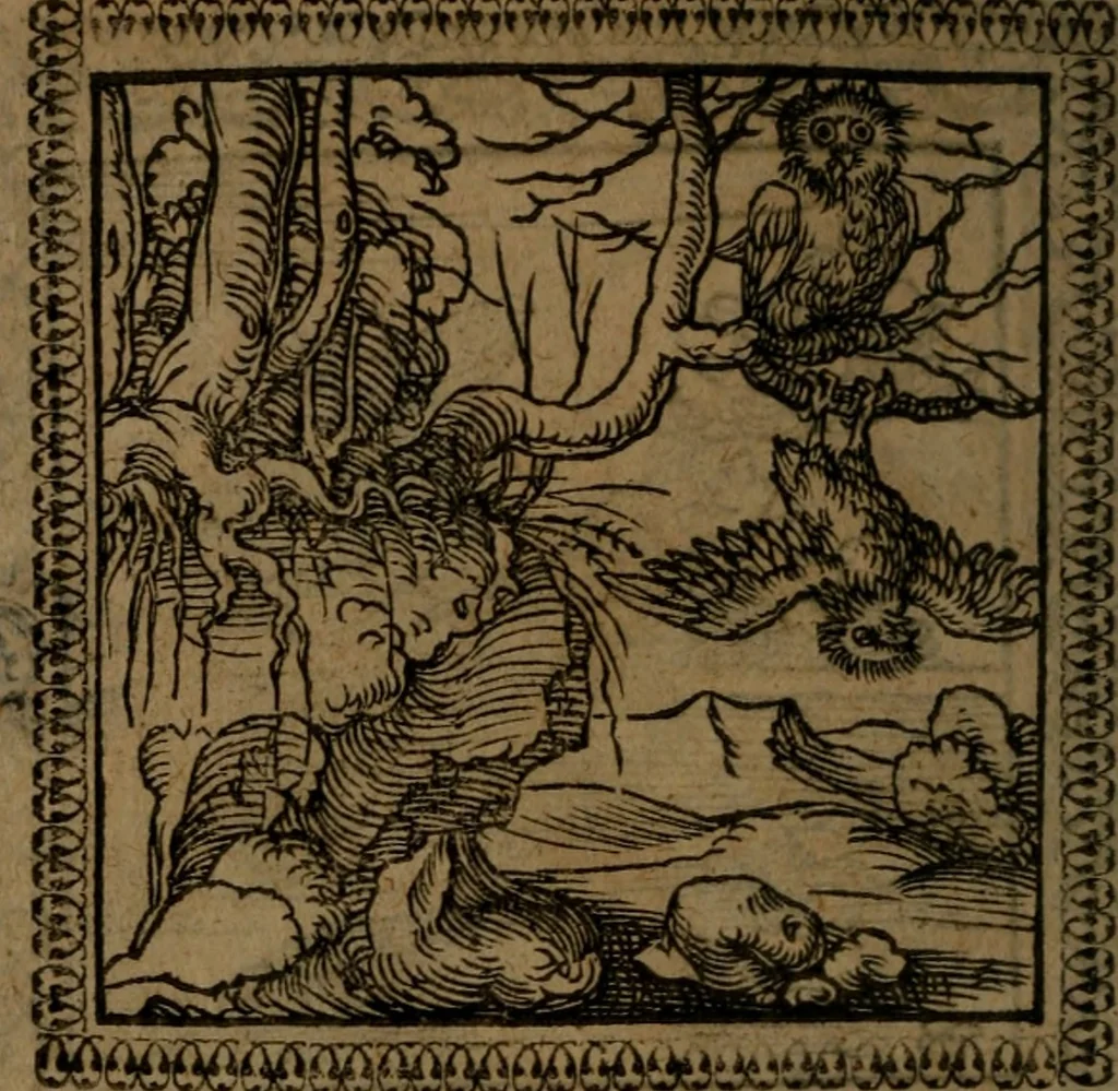 An illustration from Ori Apollinis Niliaci, De sacris Aegyptiorum notis, Aegyptiacè expressis : libri duo, iconibus illustrati, & aucti : nunc primùm in latinum ac gallicum sermonem conversi, 1574, leaf 123