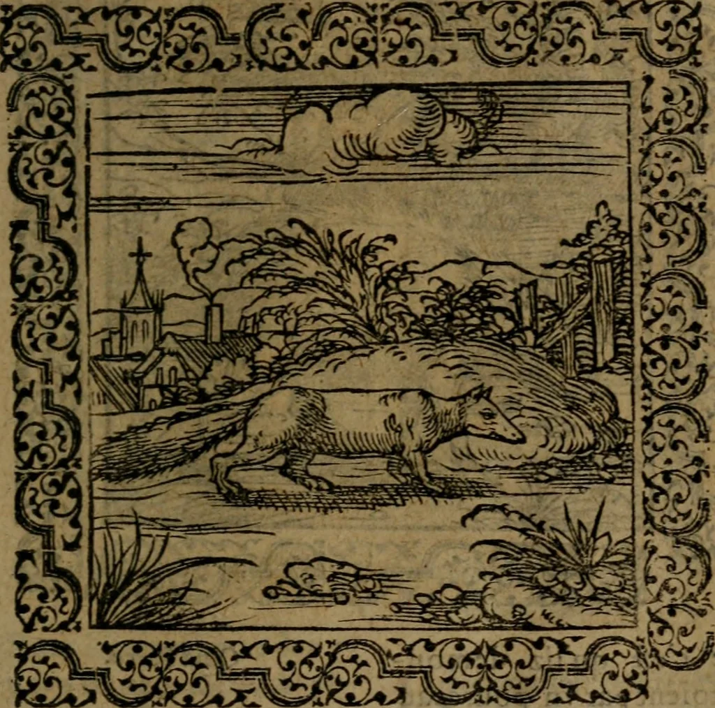 An illustration from Ori Apollinis Niliaci, De sacris Aegyptiorum notis, Aegyptiacè expressis : libri duo, iconibus illustrati, & aucti : nunc primùm in latinum ac gallicum sermonem conversi, 1574, leaf 134