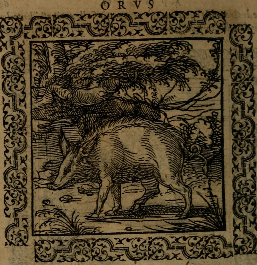 An illustration from Ori Apollinis Niliaci, De sacris Aegyptiorum notis, Aegyptiacè expressis : libri duo, iconibus illustrati, & aucti : nunc primùm in latinum ac gallicum sermonem conversi, 1574, leaf 135