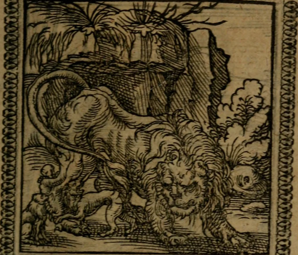 An illustration from Ori Apollinis Niliaci, De sacris Aegyptiorum notis, Aegyptiacè expressis : libri duo, iconibus illustrati, & aucti : nunc primùm in latinum ac gallicum sermonem conversi, 1574, leaf 136