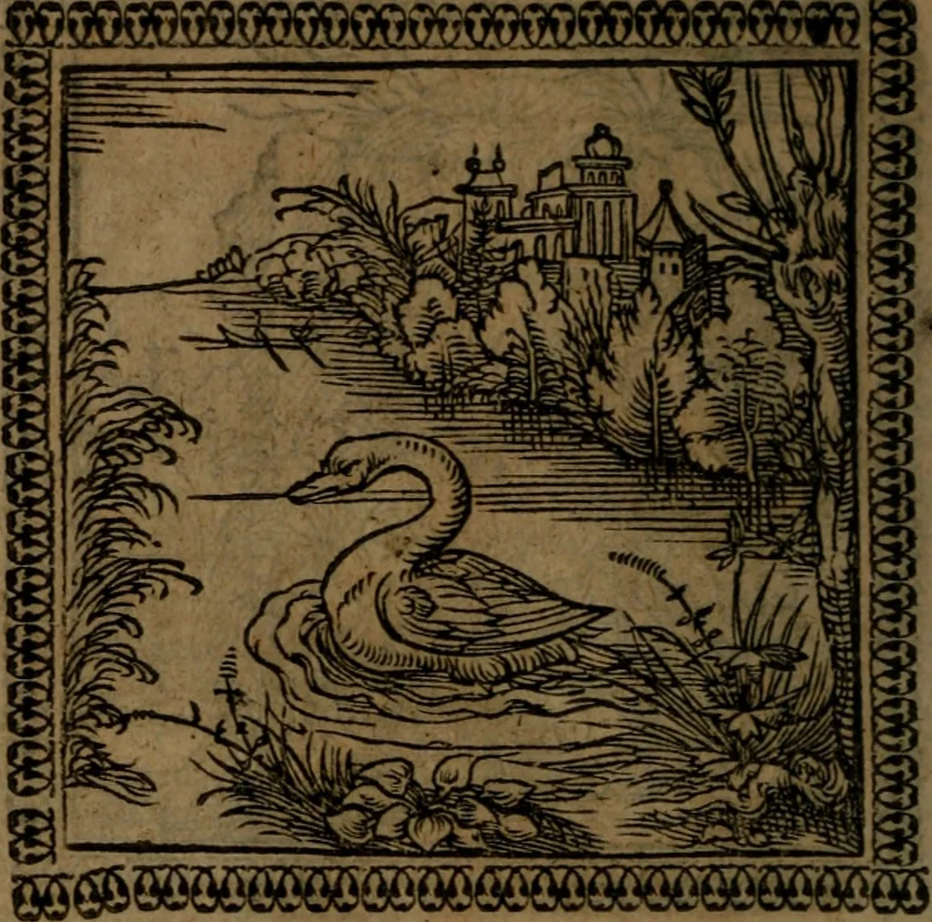 An illustration from Ori Apollinis Niliaci, De sacris Aegyptiorum notis, Aegyptiacè expressis : libri duo, iconibus illustrati, & aucti : nunc primùm in latinum ac gallicum sermonem conversi, 1574, leaf 137
