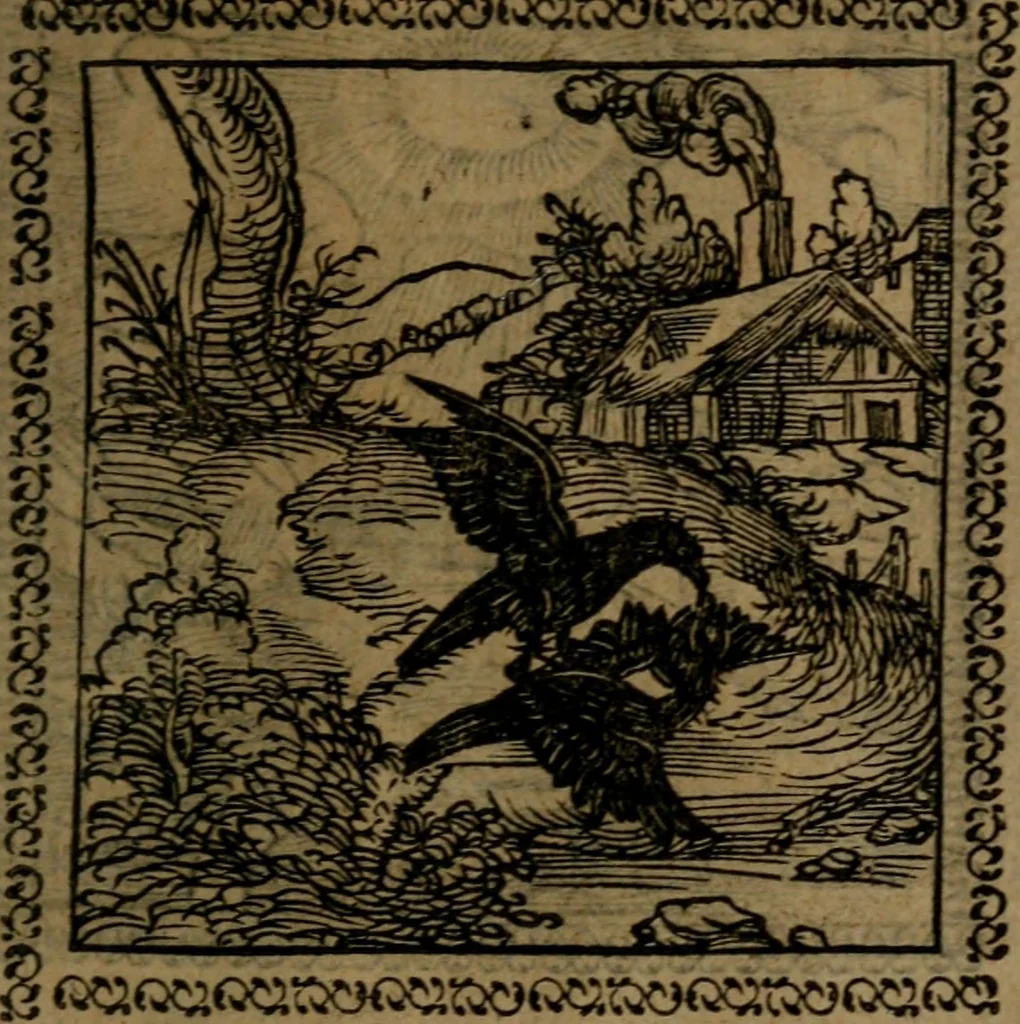 An illustration from Ori Apollinis Niliaci, De sacris Aegyptiorum notis, Aegyptiacè expressis : libri duo, iconibus illustrati, & aucti : nunc primùm in latinum ac gallicum sermonem conversi, 1574, leaf 138