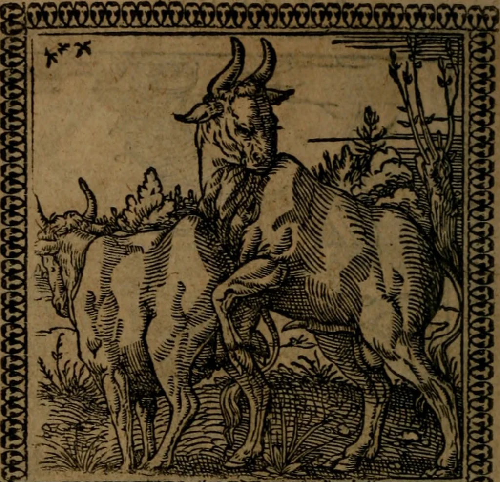 An illustration from Ori Apollinis Niliaci, De sacris Aegyptiorum notis, Aegyptiacè expressis : libri duo, iconibus illustrati, & aucti : nunc primùm in latinum ac gallicum sermonem conversi, 1574, leaf 141