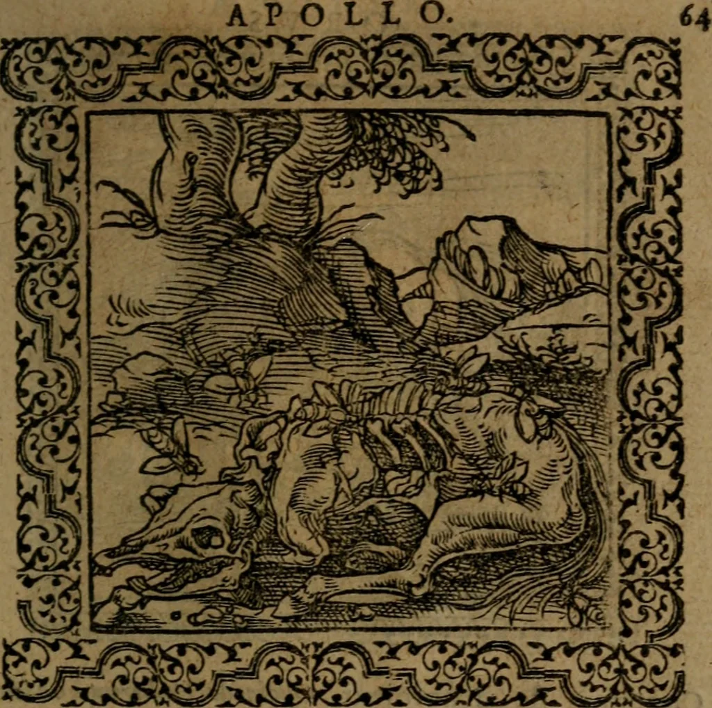 An illustration from Ori Apollinis Niliaci, De sacris Aegyptiorum notis, Aegyptiacè expressis : libri duo, iconibus illustrati, & aucti : nunc primùm in latinum ac gallicum sermonem conversi, 1574, leaf 142