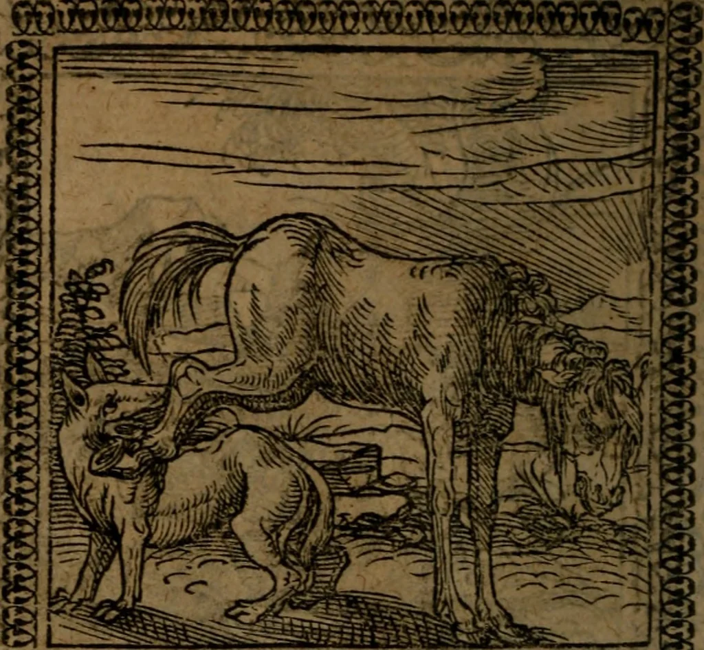 An illustration from Ori Apollinis Niliaci, De sacris Aegyptiorum notis, Aegyptiacè expressis : libri duo, iconibus illustrati, & aucti : nunc primùm in latinum ac gallicum sermonem conversi, 1574, leaf 143