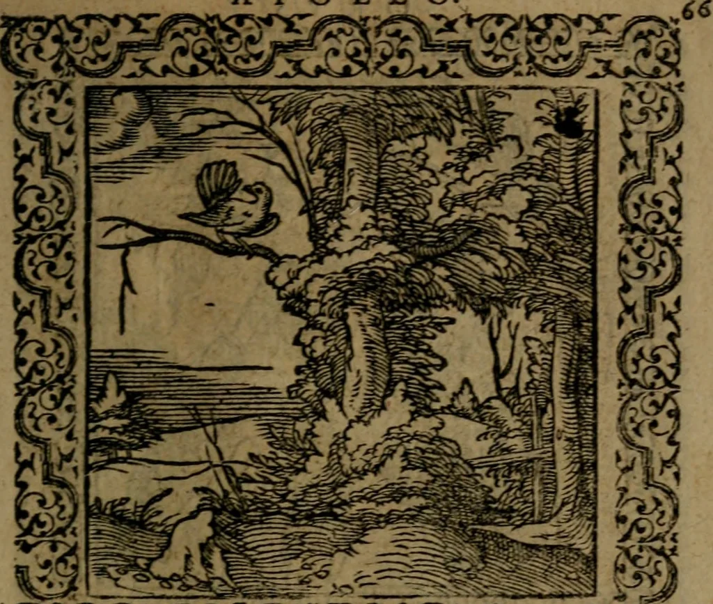 An illustration from Ori Apollinis Niliaci, De sacris Aegyptiorum notis, Aegyptiacè expressis : libri duo, iconibus illustrati, & aucti : nunc primùm in latinum ac gallicum sermonem conversi, 1574, leaf 146