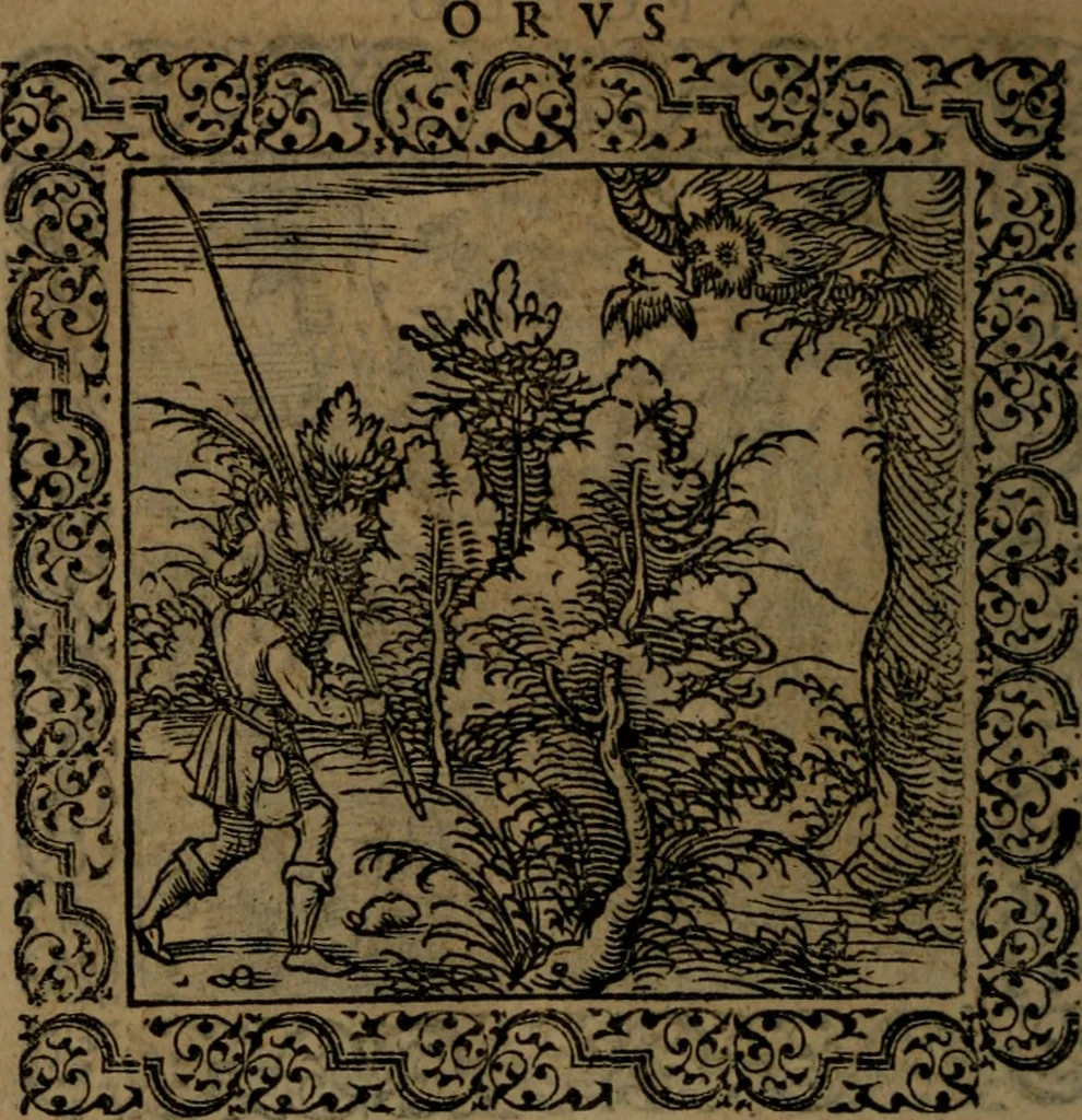 An illustration from Ori Apollinis Niliaci, De sacris Aegyptiorum notis, Aegyptiacè expressis : libri duo, iconibus illustrati, & aucti : nunc primùm in latinum ac gallicum sermonem conversi, 1574, leaf 149