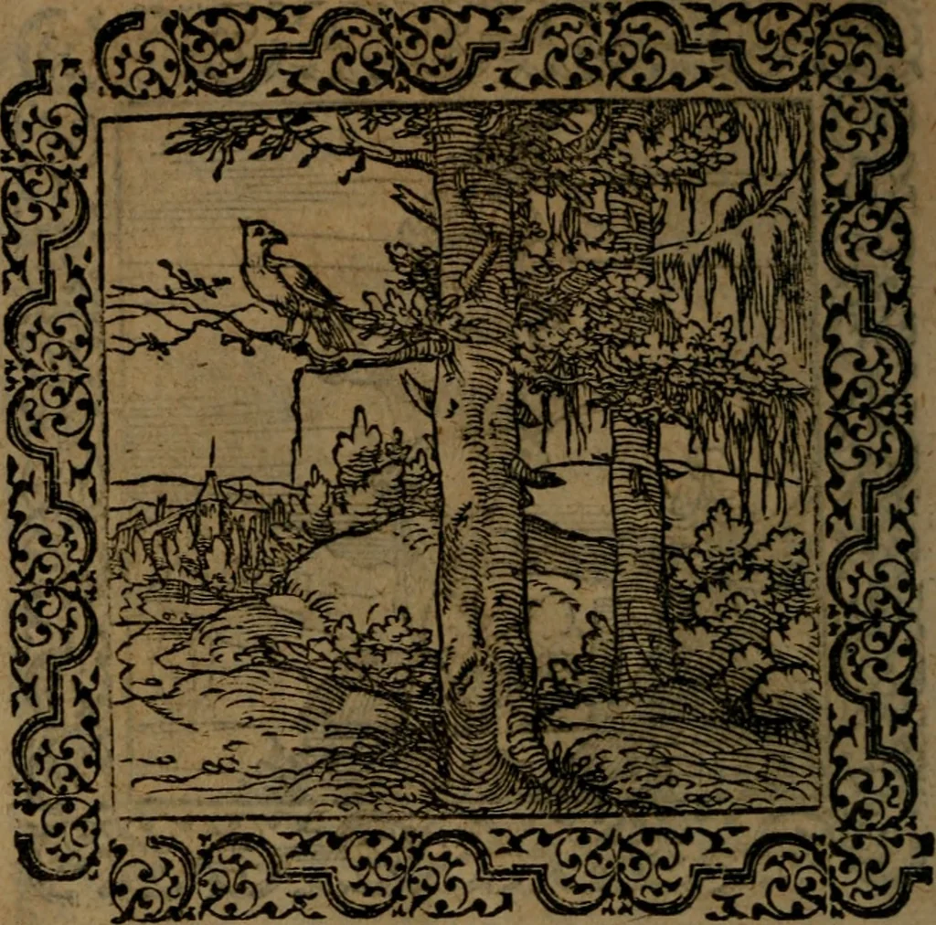 An illustration from Ori Apollinis Niliaci, De sacris Aegyptiorum notis, Aegyptiacè expressis : libri duo, iconibus illustrati, & aucti : nunc primùm in latinum ac gallicum sermonem conversi, 1574, leaf 151