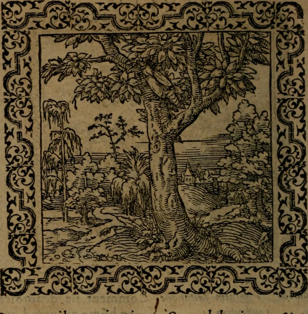 An illustration from Ori Apollinis Niliaci, De sacris Aegyptiorum notis, Aegyptiacè expressis : libri duo, iconibus illustrati, & aucti : nunc primùm in latinum ac gallicum sermonem conversi, 1574, leaf 153