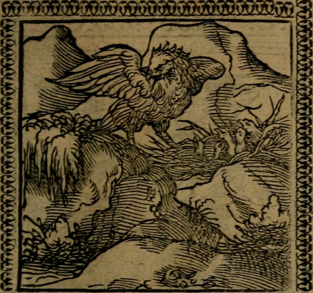 An illustration from Ori Apollinis Niliaci, De sacris Aegyptiorum notis, Aegyptiacè expressis : libri duo, iconibus illustrati, & aucti : nunc primùm in latinum ac gallicum sermonem conversi, 1574, leaf 154