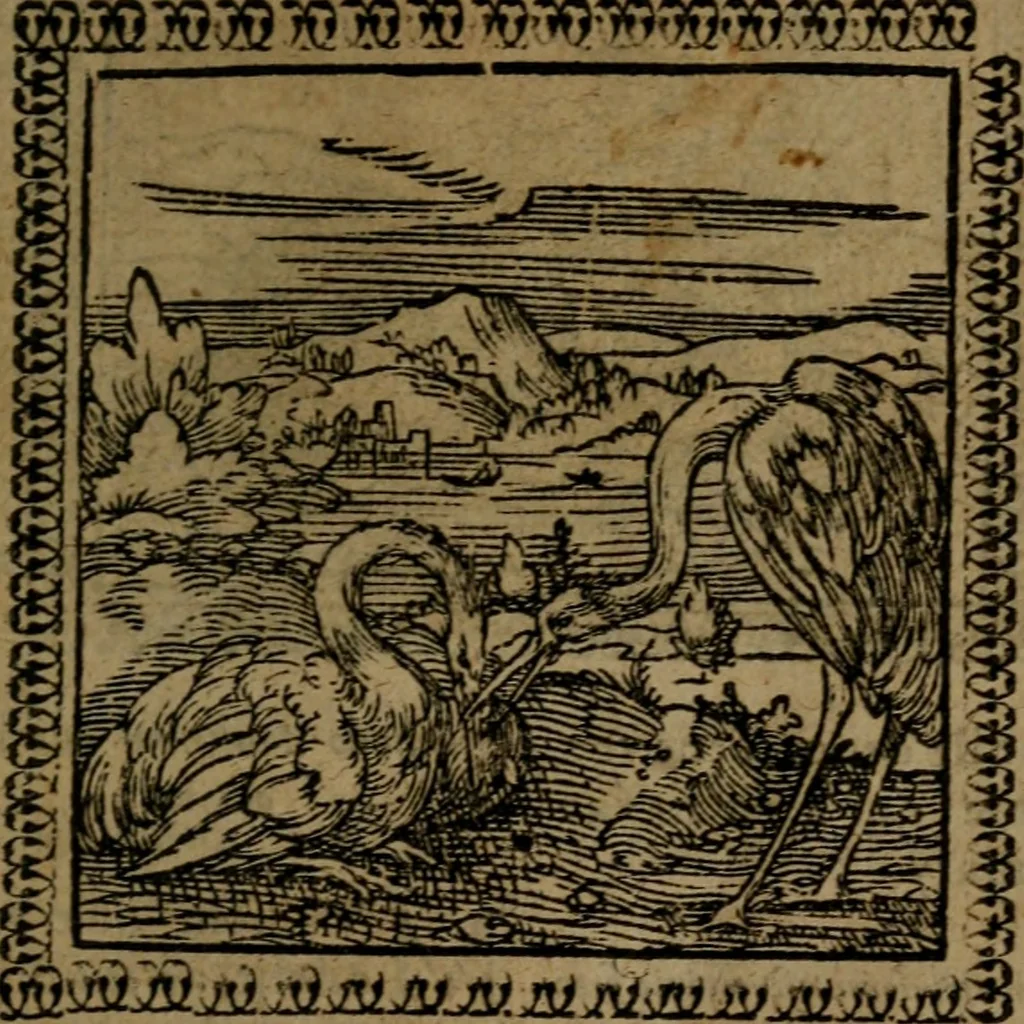 An illustration from Ori Apollinis Niliaci, De sacris Aegyptiorum notis, Aegyptiacè expressis : libri duo, iconibus illustrati, & aucti : nunc primùm in latinum ac gallicum sermonem conversi, 1574, leaf 156