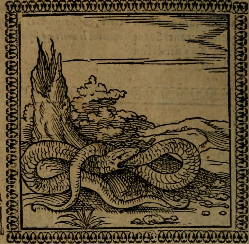 An illustration from Ori Apollinis Niliaci, De sacris Aegyptiorum notis, Aegyptiacè expressis : libri duo, iconibus illustrati, & aucti : nunc primùm in latinum ac gallicum sermonem conversi, 1574, leaf 157