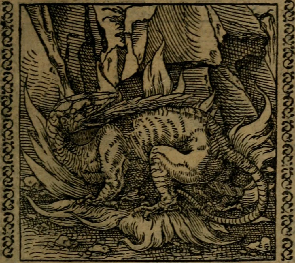 An illustration from Ori Apollinis Niliaci, De sacris Aegyptiorum notis, Aegyptiacè expressis : libri duo, iconibus illustrati, & aucti : nunc primùm in latinum ac gallicum sermonem conversi, 1574, leaf 160