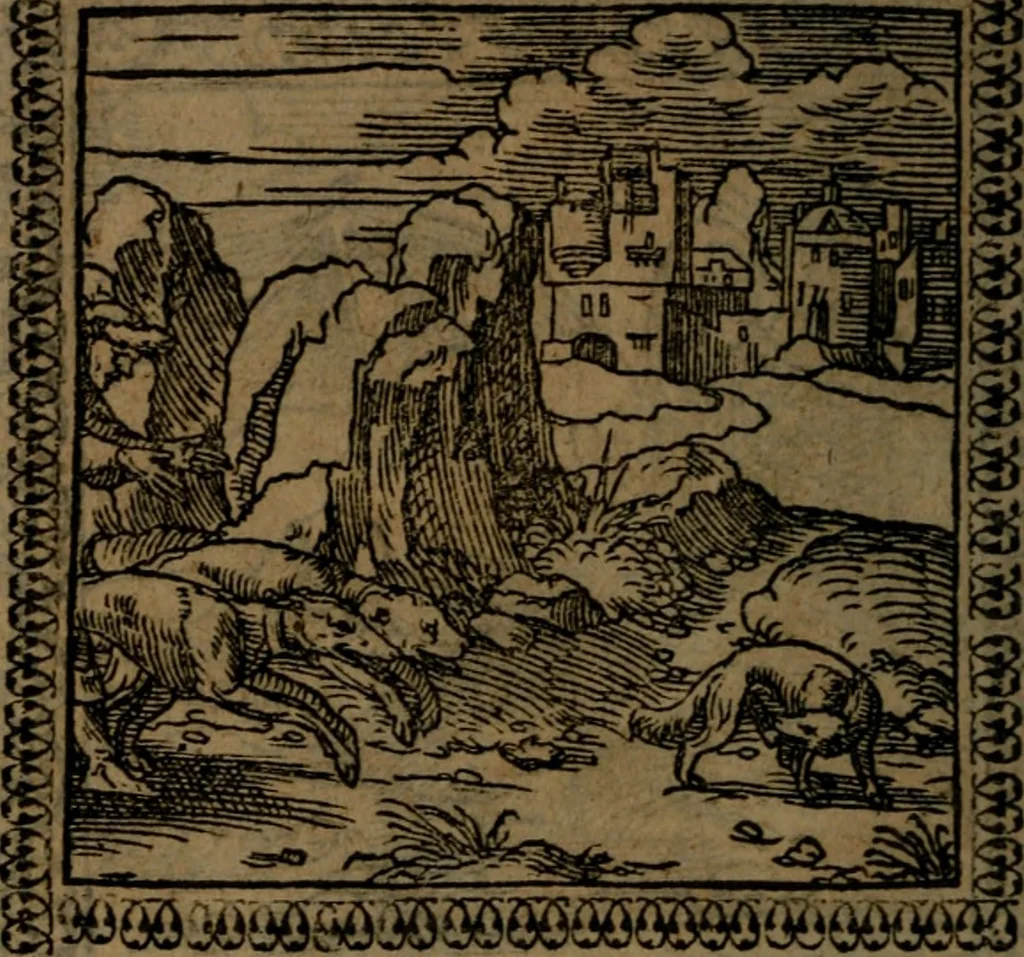 An illustration from Ori Apollinis Niliaci, De sacris Aegyptiorum notis, Aegyptiacè expressis : libri duo, iconibus illustrati, & aucti : nunc primùm in latinum ac gallicum sermonem conversi, 1574, leaf 163