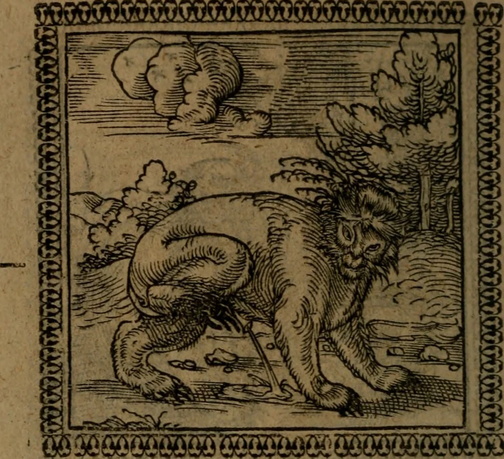 An illustration from Ori Apollinis Niliaci, De sacris Aegyptiorum notis, Aegyptiacè expressis : libri duo, iconibus illustrati, & aucti : nunc primùm in latinum ac gallicum sermonem conversi, 1574, leaf 165