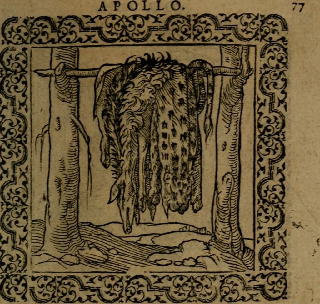 An illustration from Ori Apollinis Niliaci, De sacris Aegyptiorum notis, Aegyptiacè expressis : libri duo, iconibus illustrati, & aucti : nunc primùm in latinum ac gallicum sermonem conversi, 1574, leaf 168