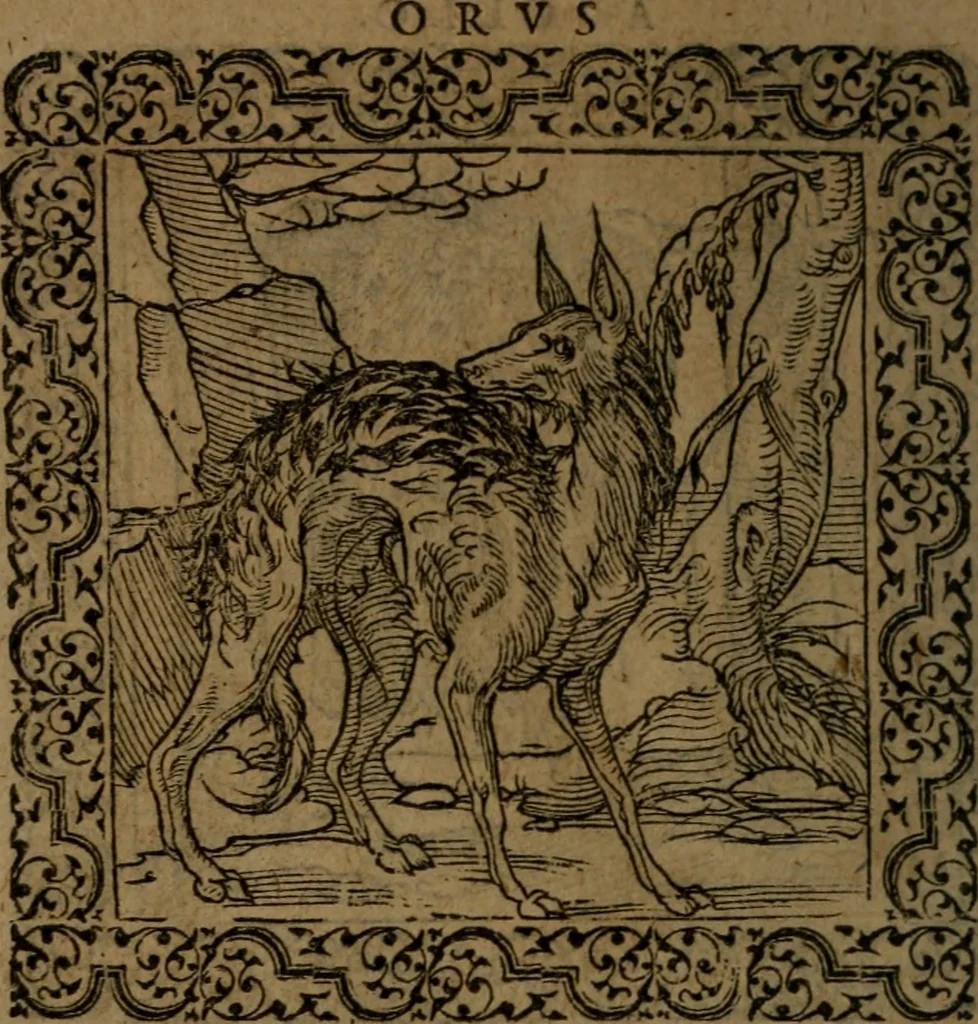 An illustration from Ori Apollinis Niliaci, De sacris Aegyptiorum notis, Aegyptiacè expressis : libri duo, iconibus illustrati, & aucti : nunc primùm in latinum ac gallicum sermonem conversi, 1574, leaf 169