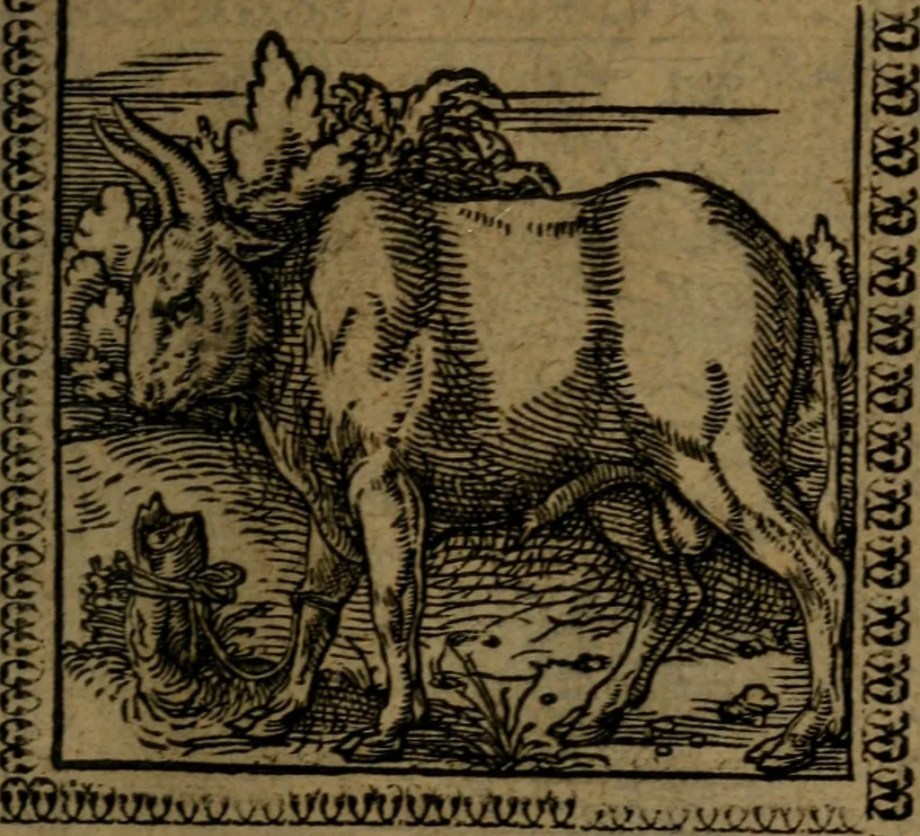An illustration from Ori Apollinis Niliaci, De sacris Aegyptiorum notis, Aegyptiacè expressis : libri duo, iconibus illustrati, & aucti : nunc primùm in latinum ac gallicum sermonem conversi, 1574, leaf 174