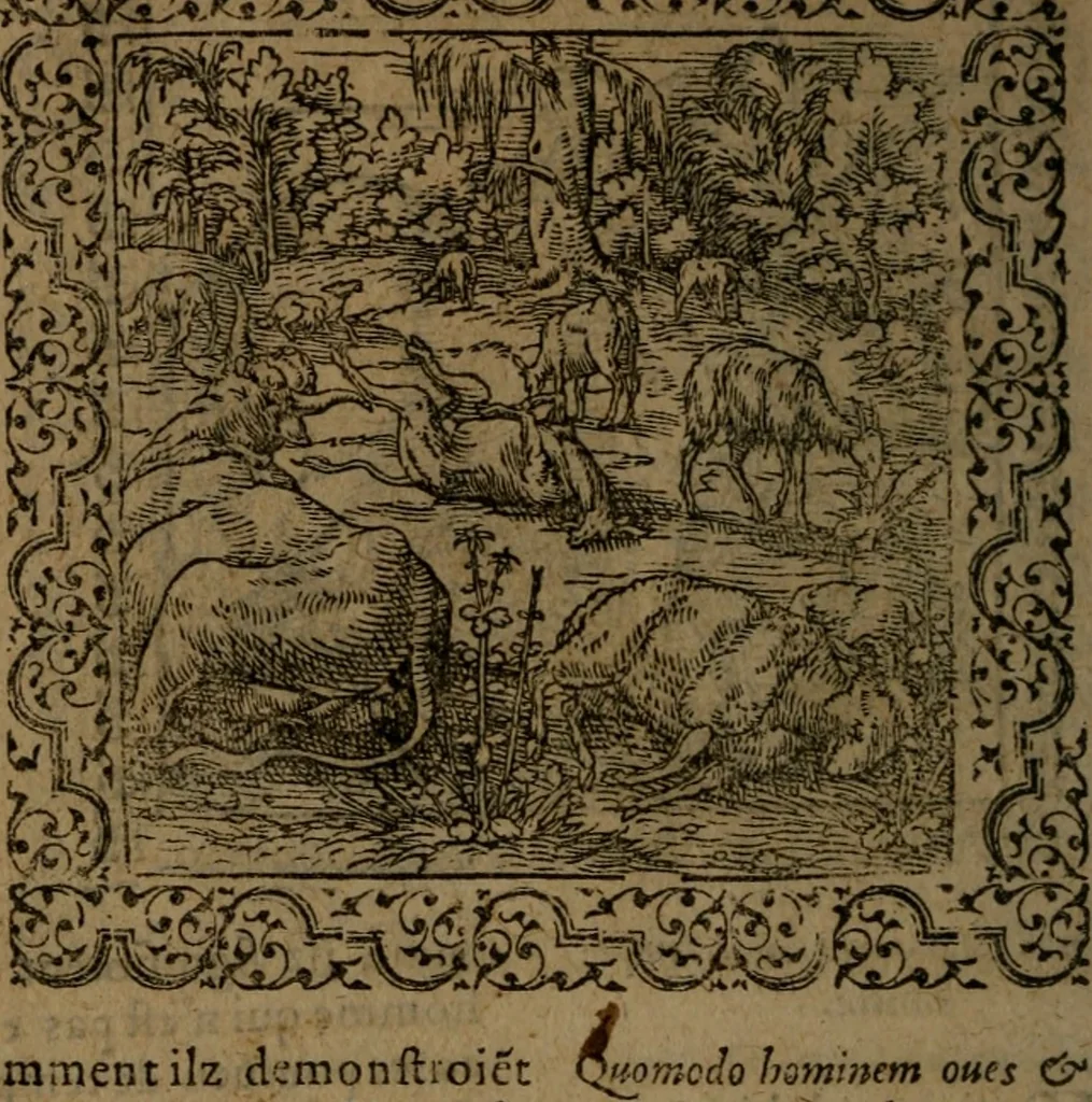 An illustration from Ori Apollinis Niliaci, De sacris Aegyptiorum notis, Aegyptiacè expressis : libri duo, iconibus illustrati, & aucti : nunc primùm in latinum ac gallicum sermonem conversi, 1574, leaf 175