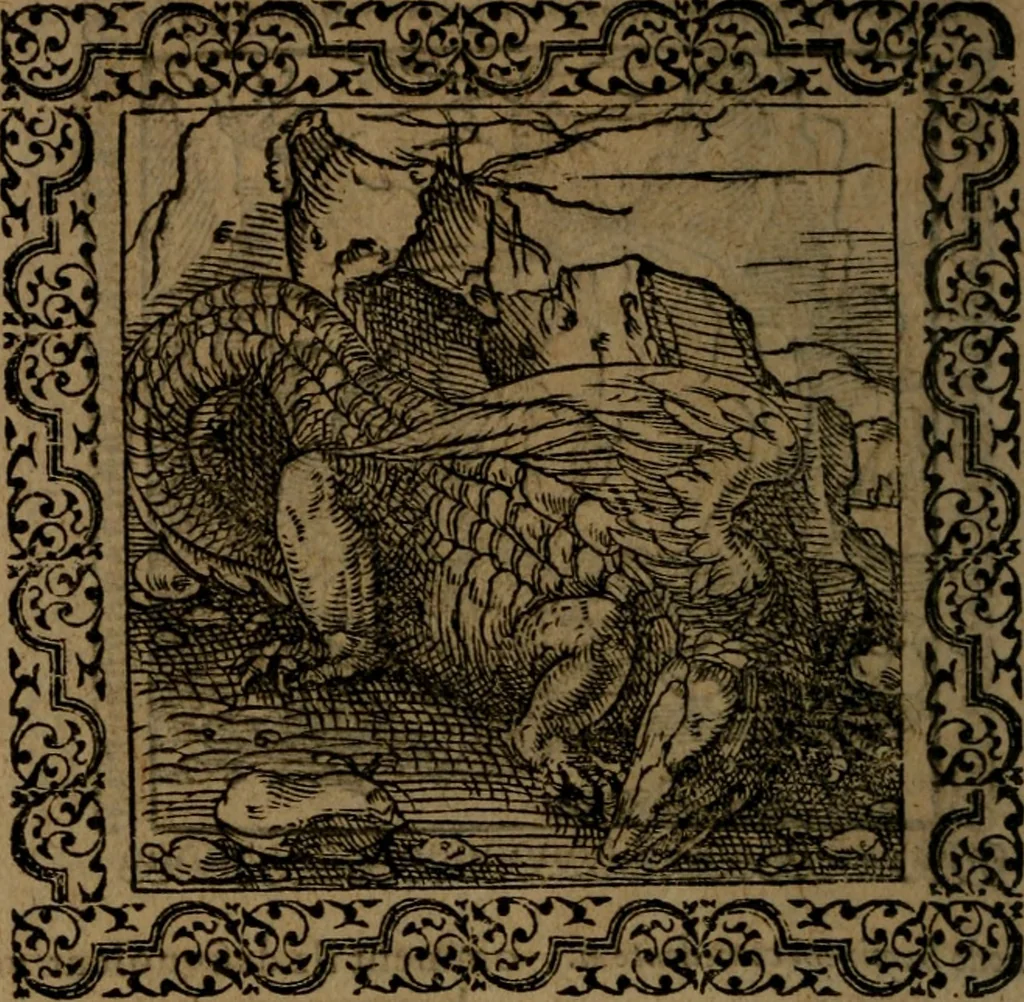 An illustration from Ori Apollinis Niliaci, De sacris Aegyptiorum notis, Aegyptiacè expressis : libri duo, iconibus illustrati, & aucti : nunc primùm in latinum ac gallicum sermonem conversi, 1574, leaf 177