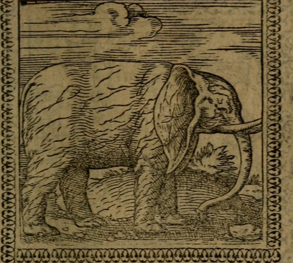 An illustration from Ori Apollinis Niliaci, De sacris Aegyptiorum notis, Aegyptiacè expressis : libri duo, iconibus illustrati, & aucti : nunc primùm in latinum ac gallicum sermonem conversi, 1574, leaf 180