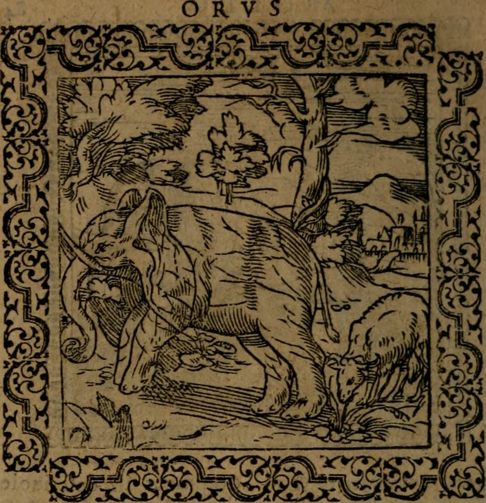 An illustration from Ori Apollinis Niliaci, De sacris Aegyptiorum notis, Aegyptiacè expressis : libri duo, iconibus illustrati, & aucti : nunc primùm in latinum ac gallicum sermonem conversi, 1574, leaf 181