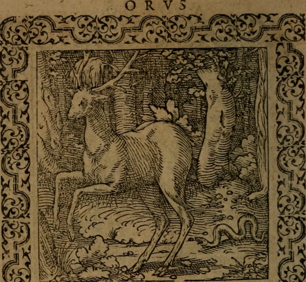 An illustration from Ori Apollinis Niliaci, De sacris Aegyptiorum notis, Aegyptiacè expressis : libri duo, iconibus illustrati, & aucti : nunc primùm in latinum ac gallicum sermonem conversi, 1574, leaf 183