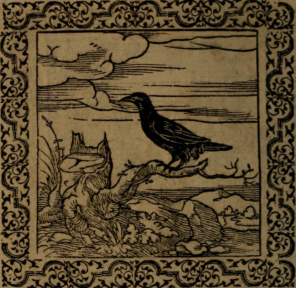 An illustration from Ori Apollinis Niliaci, De sacris Aegyptiorum notis, Aegyptiacè expressis : libri duo, iconibus illustrati, & aucti : nunc primùm in latinum ac gallicum sermonem conversi, 1574, leaf 185
