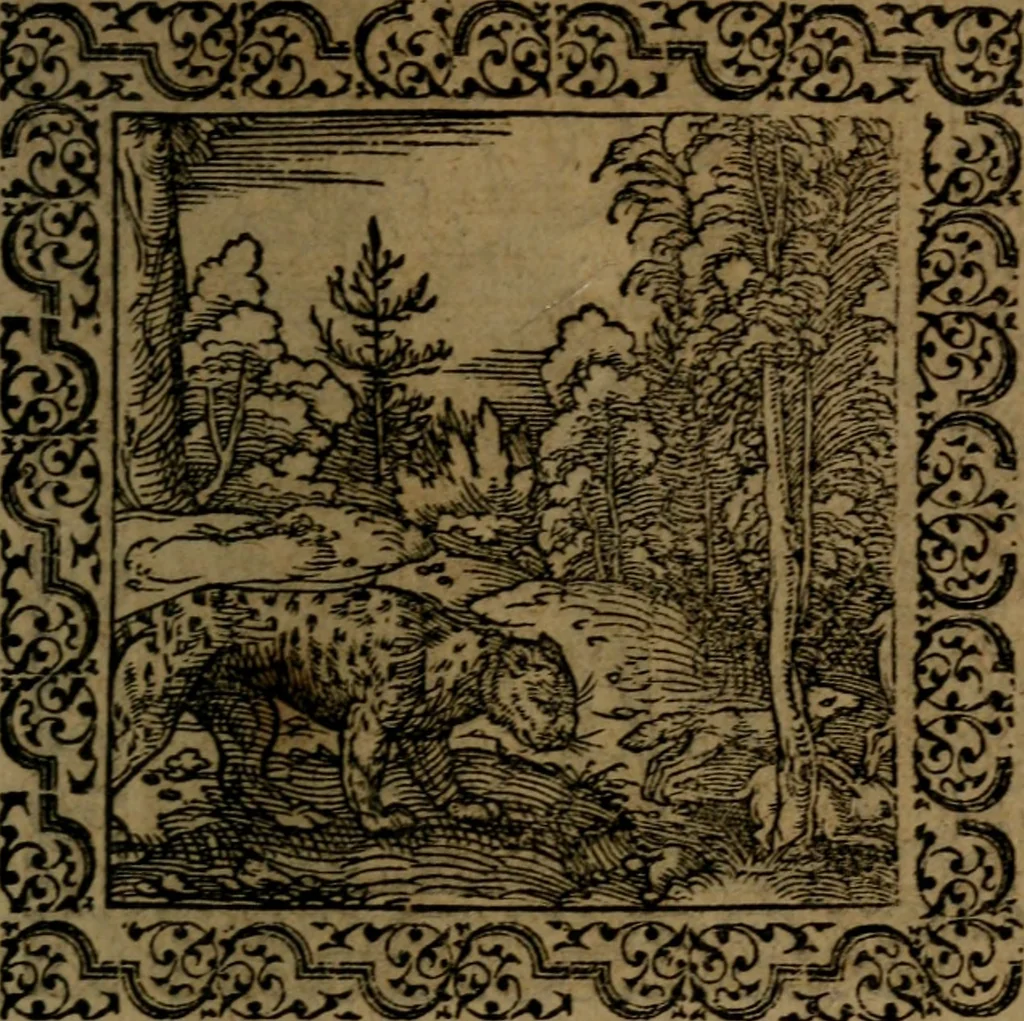 An illustration from Ori Apollinis Niliaci, De sacris Aegyptiorum notis, Aegyptiacè expressis : libri duo, iconibus illustrati, & aucti : nunc primùm in latinum ac gallicum sermonem conversi, 1574, leaf 186