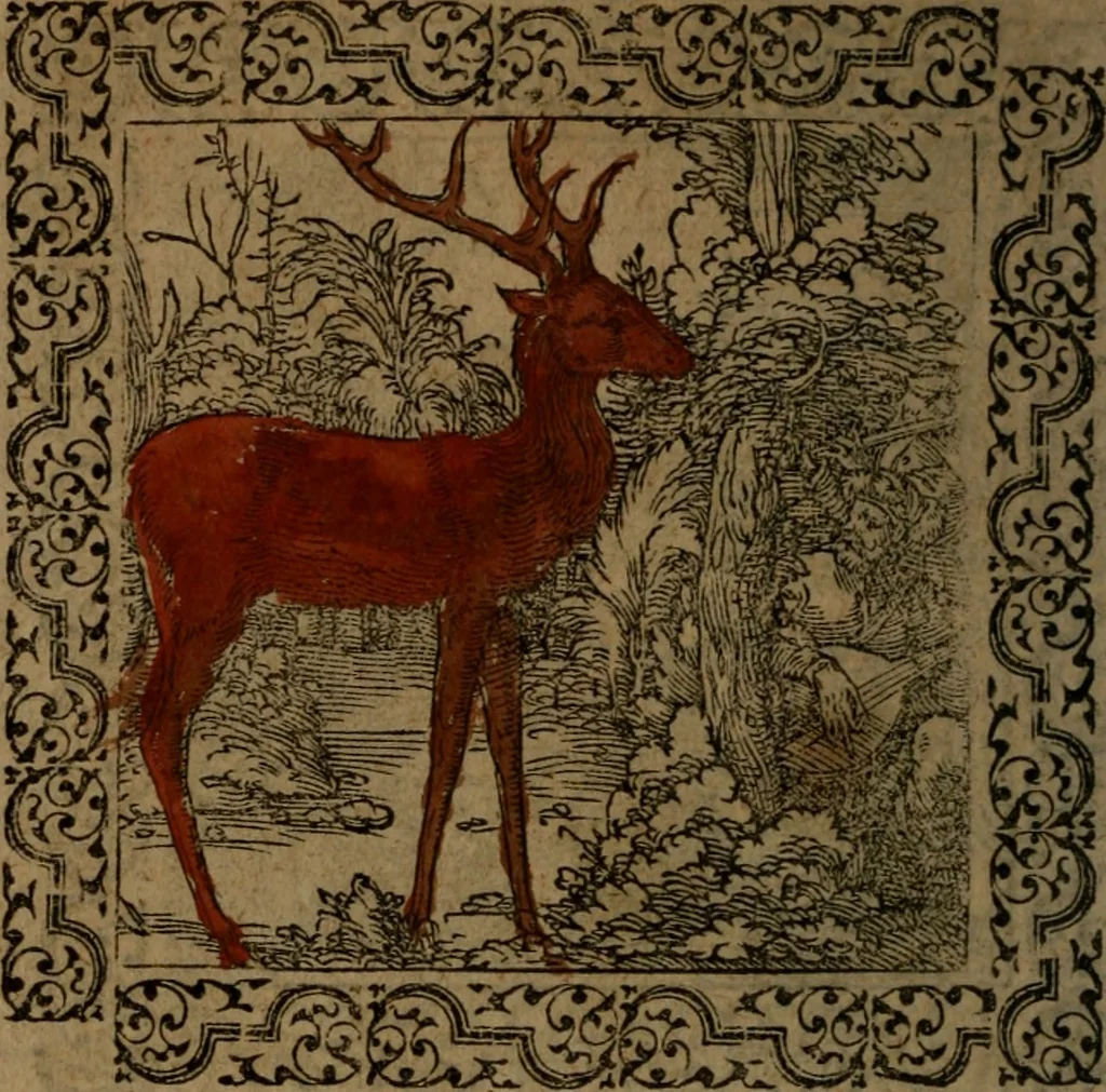 An illustration from Ori Apollinis Niliaci, De sacris Aegyptiorum notis, Aegyptiacè expressis : libri duo, iconibus illustrati, & aucti : nunc primùm in latinum ac gallicum sermonem conversi, 1574, leaf 187