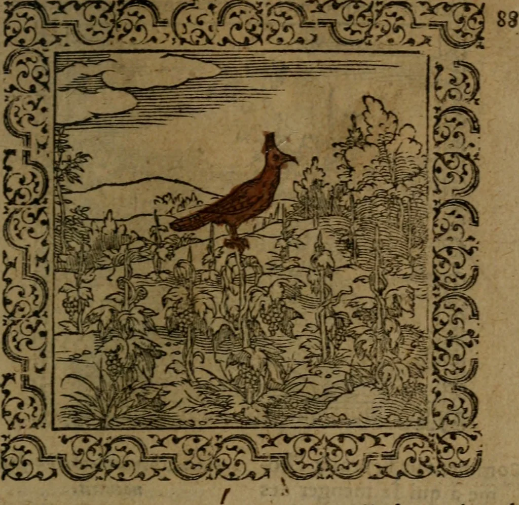 An illustration from Ori Apollinis Niliaci, De sacris Aegyptiorum notis, Aegyptiacè expressis : libri duo, iconibus illustrati, & aucti : nunc primùm in latinum ac gallicum sermonem conversi, 1574, leaf 188