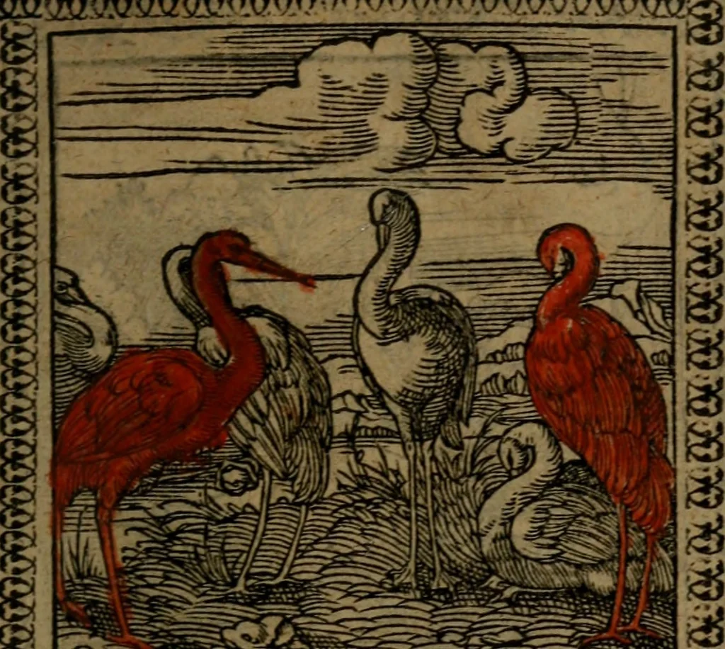 An illustration from Ori Apollinis Niliaci, De sacris Aegyptiorum notis, Aegyptiacè expressis : libri duo, iconibus illustrati, & aucti : nunc primùm in latinum ac gallicum sermonem conversi, 1574, leaf 190