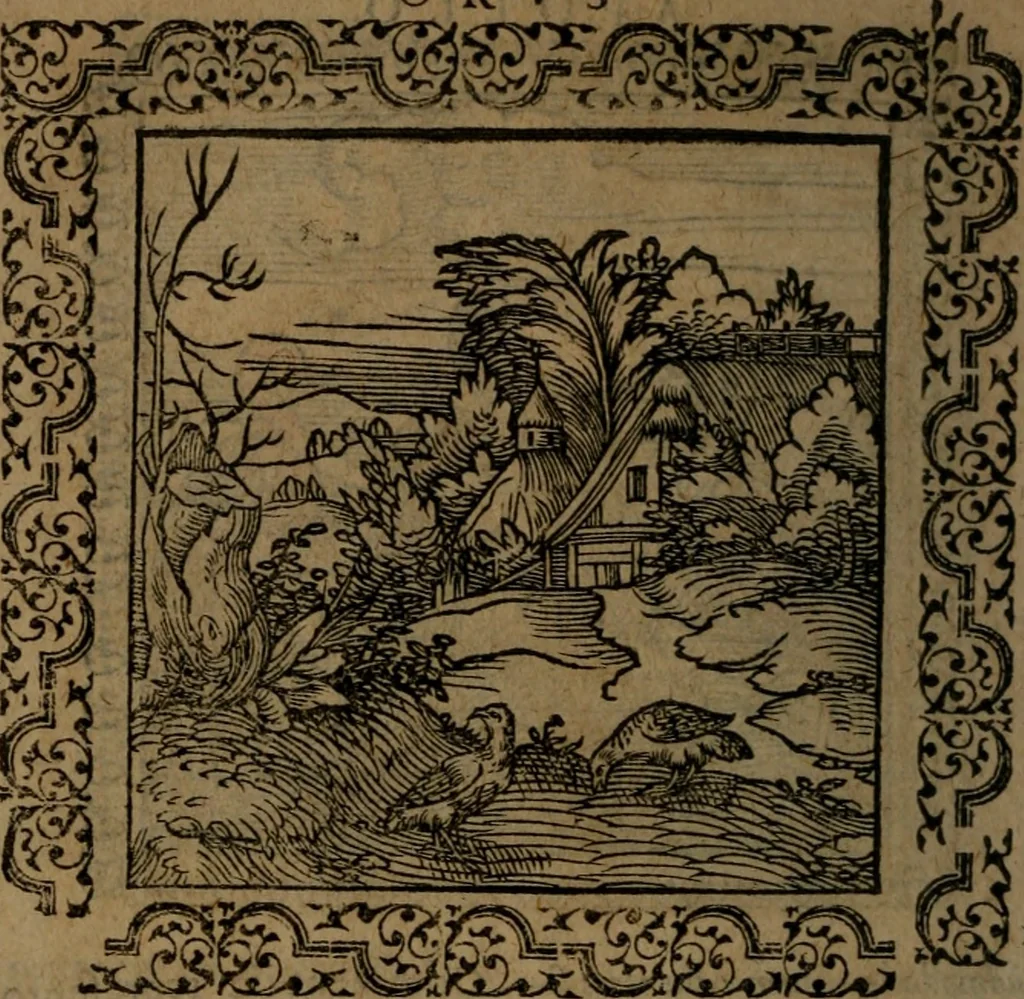 An illustration from Ori Apollinis Niliaci, De sacris Aegyptiorum notis, Aegyptiacè expressis : libri duo, iconibus illustrati, & aucti : nunc primùm in latinum ac gallicum sermonem conversi, 1574, leaf 191