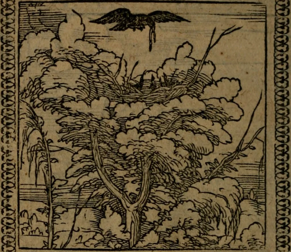 An illustration from Ori Apollinis Niliaci, De sacris Aegyptiorum notis, Aegyptiacè expressis : libri duo, iconibus illustrati, & aucti : nunc primùm in latinum ac gallicum sermonem conversi, 1574, leaf 193