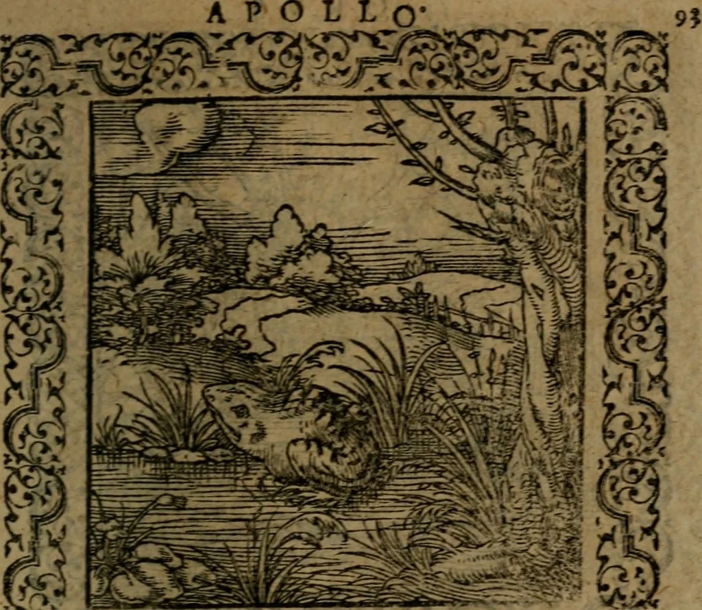 An illustration from Ori Apollinis Niliaci, De sacris Aegyptiorum notis, Aegyptiacè expressis : libri duo, iconibus illustrati, & aucti : nunc primùm in latinum ac gallicum sermonem conversi, 1574, leaf 198