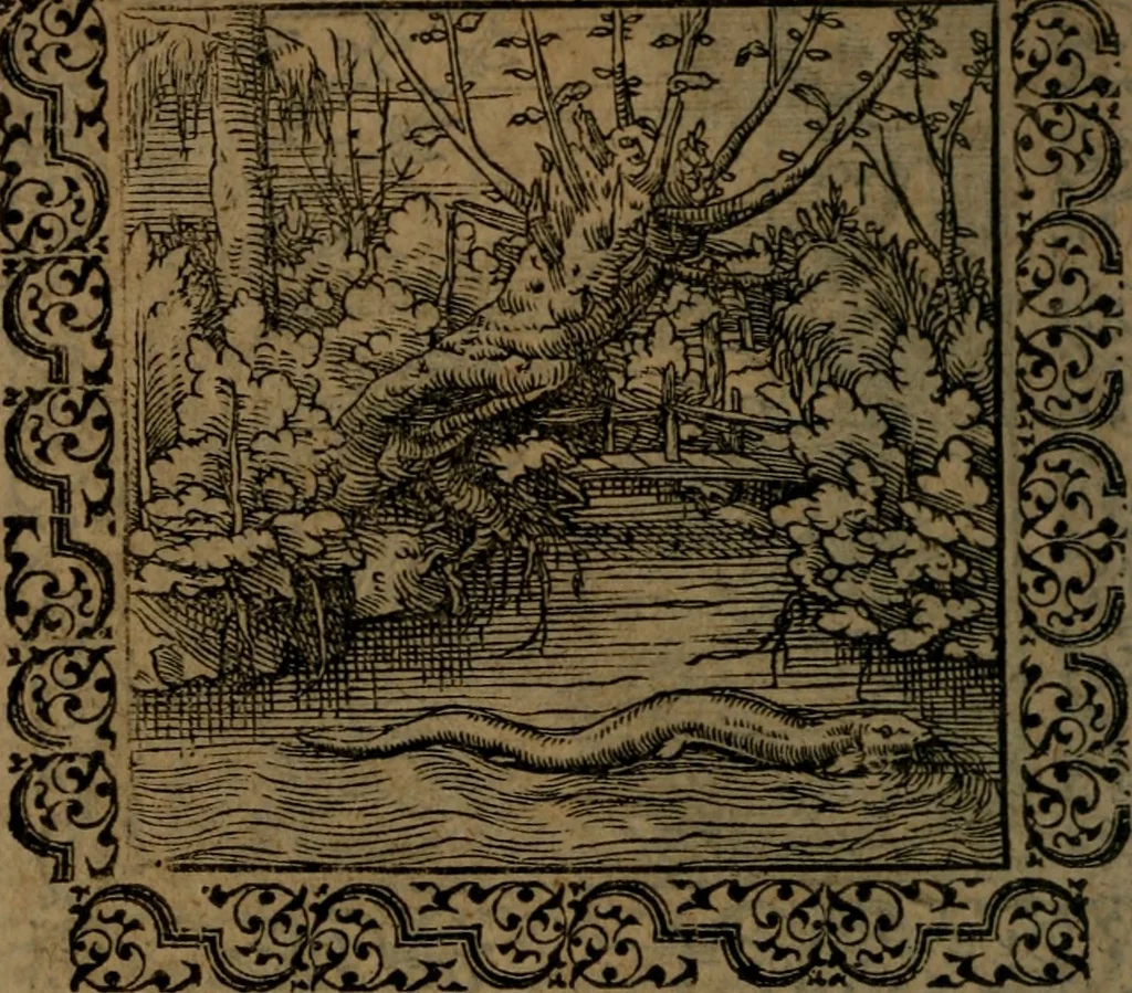 An illustration from Ori Apollinis Niliaci, De sacris Aegyptiorum notis, Aegyptiacè expressis : libri duo, iconibus illustrati, & aucti : nunc primùm in latinum ac gallicum sermonem conversi, 1574, leaf 199