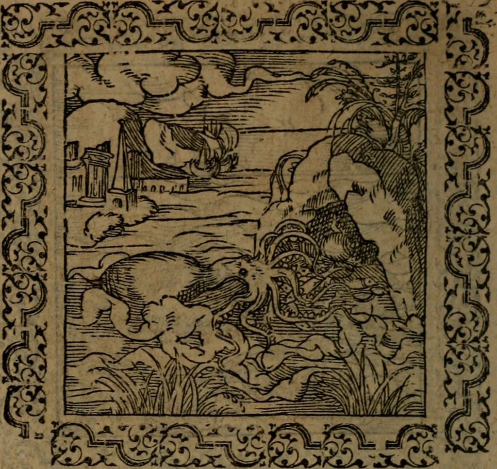 An illustration from Ori Apollinis Niliaci, De sacris Aegyptiorum notis, Aegyptiacè expressis : libri duo, iconibus illustrati, & aucti : nunc primùm in latinum ac gallicum sermonem conversi, 1574, leaf 201