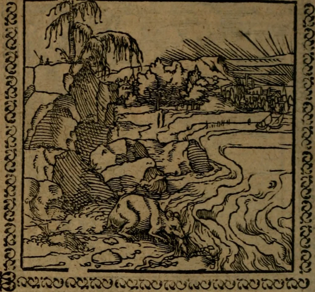 An illustration from Ori Apollinis Niliaci, De sacris Aegyptiorum notis, Aegyptiacè expressis : libri duo, iconibus illustrati, & aucti : nunc primùm in latinum ac gallicum sermonem conversi, 1574, leaf 205