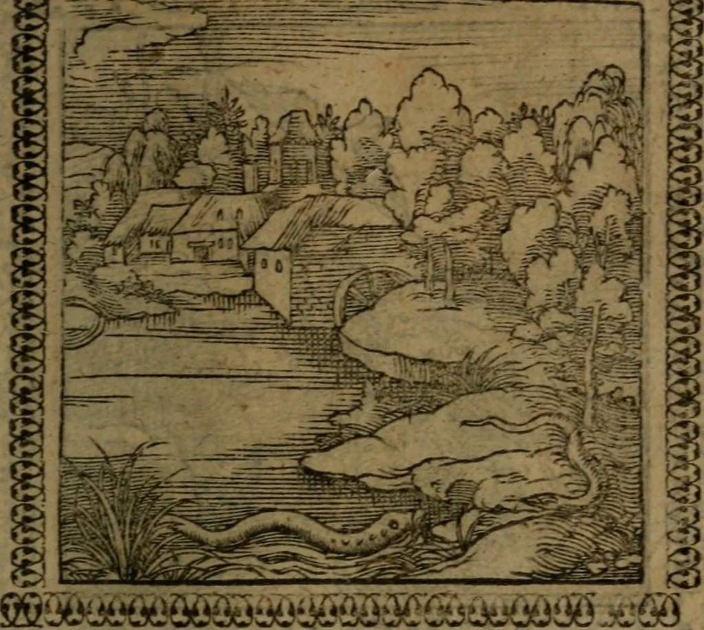 An illustration from Ori Apollinis Niliaci, De sacris Aegyptiorum notis, Aegyptiacè expressis : libri duo, iconibus illustrati, & aucti : nunc primùm in latinum ac gallicum sermonem conversi, 1574, leaf 206