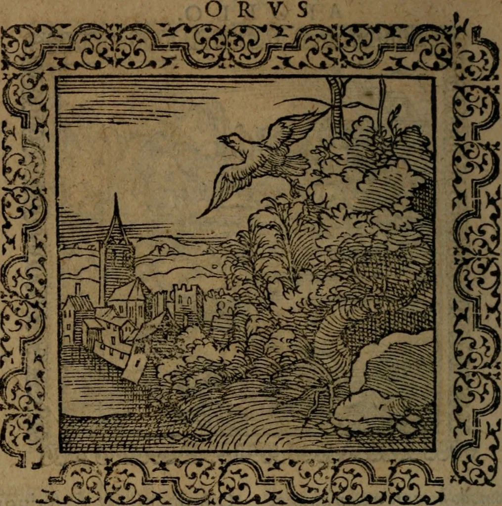 An illustration from Ori Apollinis Niliaci, De sacris Aegyptiorum notis, Aegyptiacè expressis : libri duo, iconibus illustrati, & aucti : nunc primùm in latinum ac gallicum sermonem conversi, 1574, leaf 207