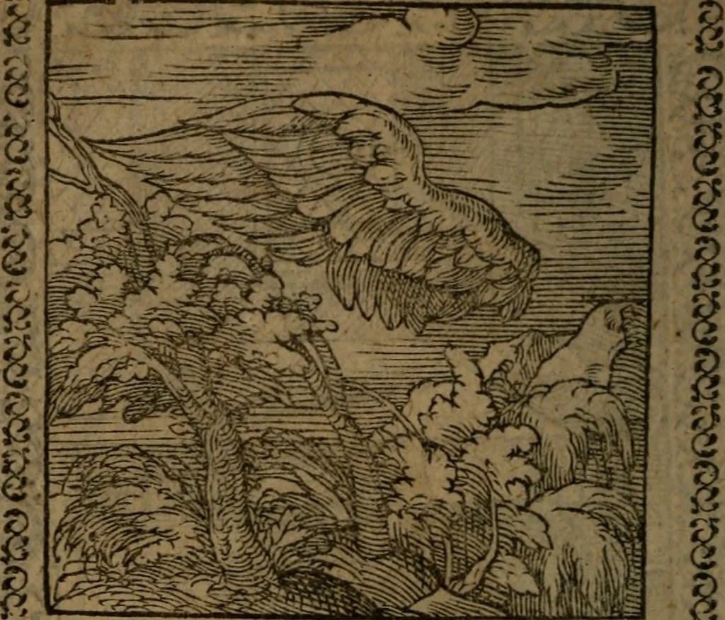 An illustration from Ori Apollinis Niliaci, De sacris Aegyptiorum notis, Aegyptiacè expressis : libri duo, iconibus illustrati, & aucti : nunc primùm in latinum ac gallicum sermonem conversi, 1574, leaf 213